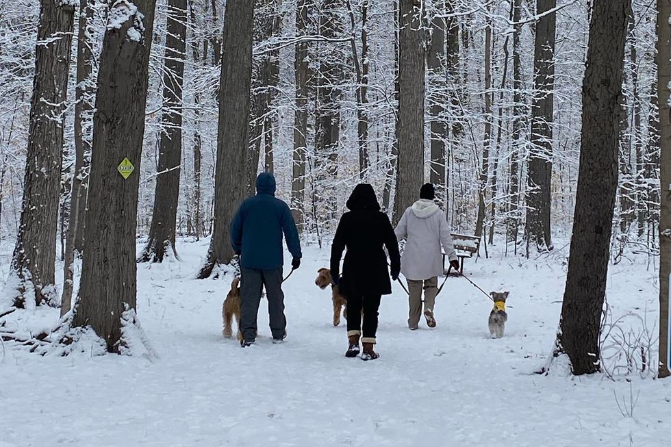 ontario parks winter toronto