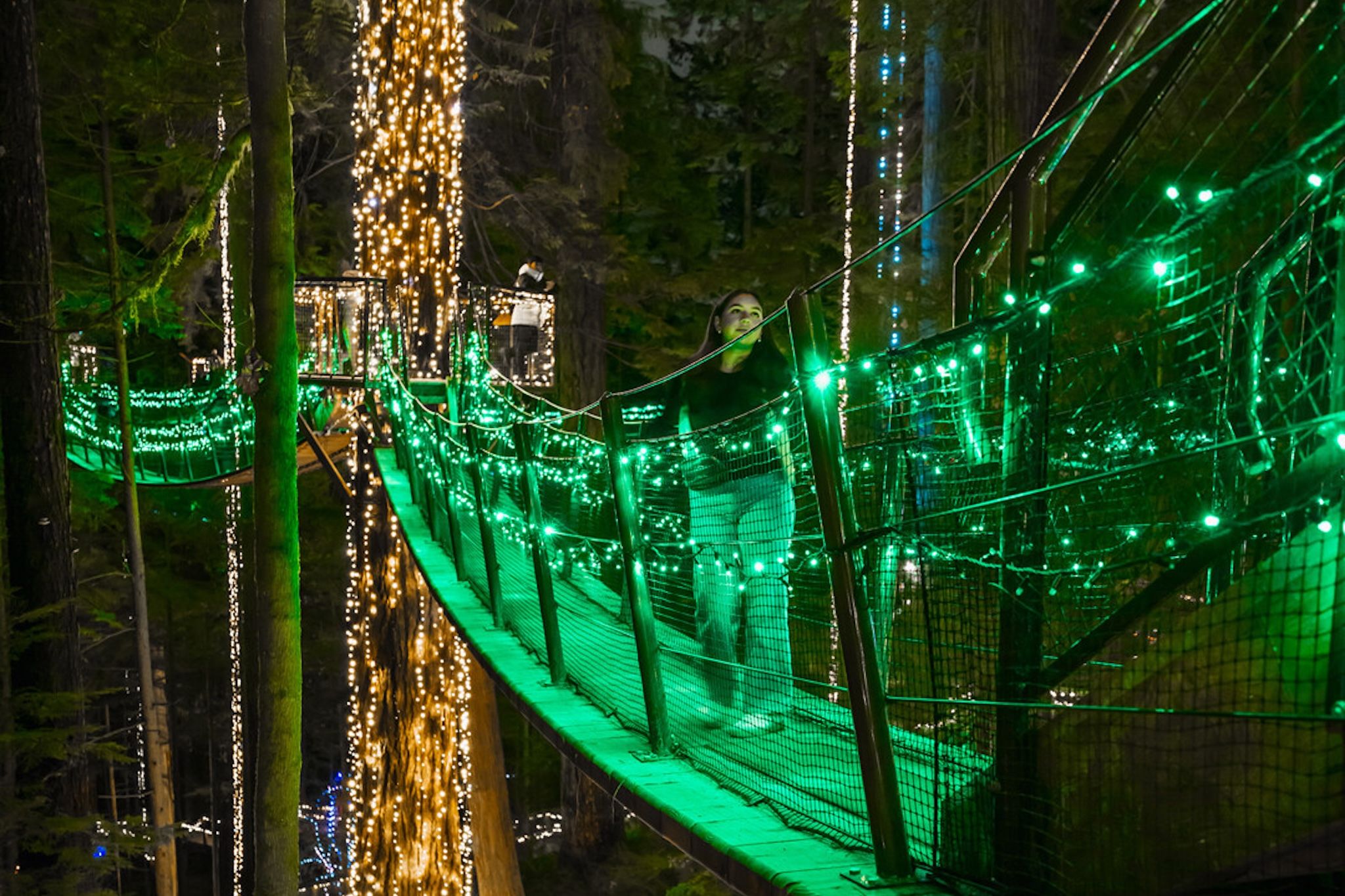 10 of the best things to do in and around Vancouver this week (Dec. 15-19) 10 of the best things to do in and around Vancouver this week (Dec. 15-19)