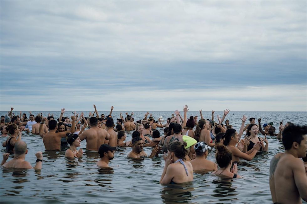 polar bear plunge