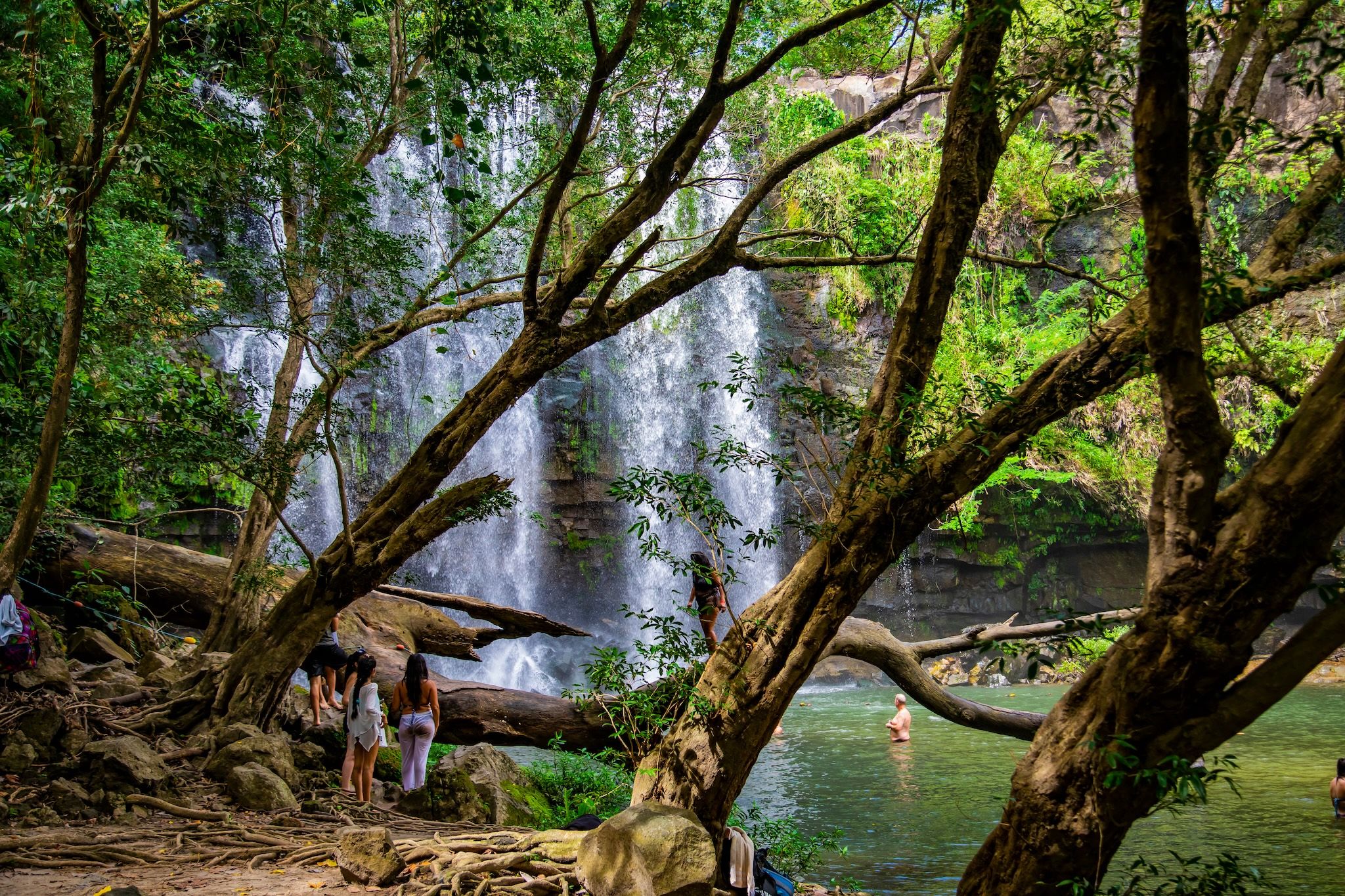 Vancouver now has non-stop flights to Costa Rica aboard this popular airline