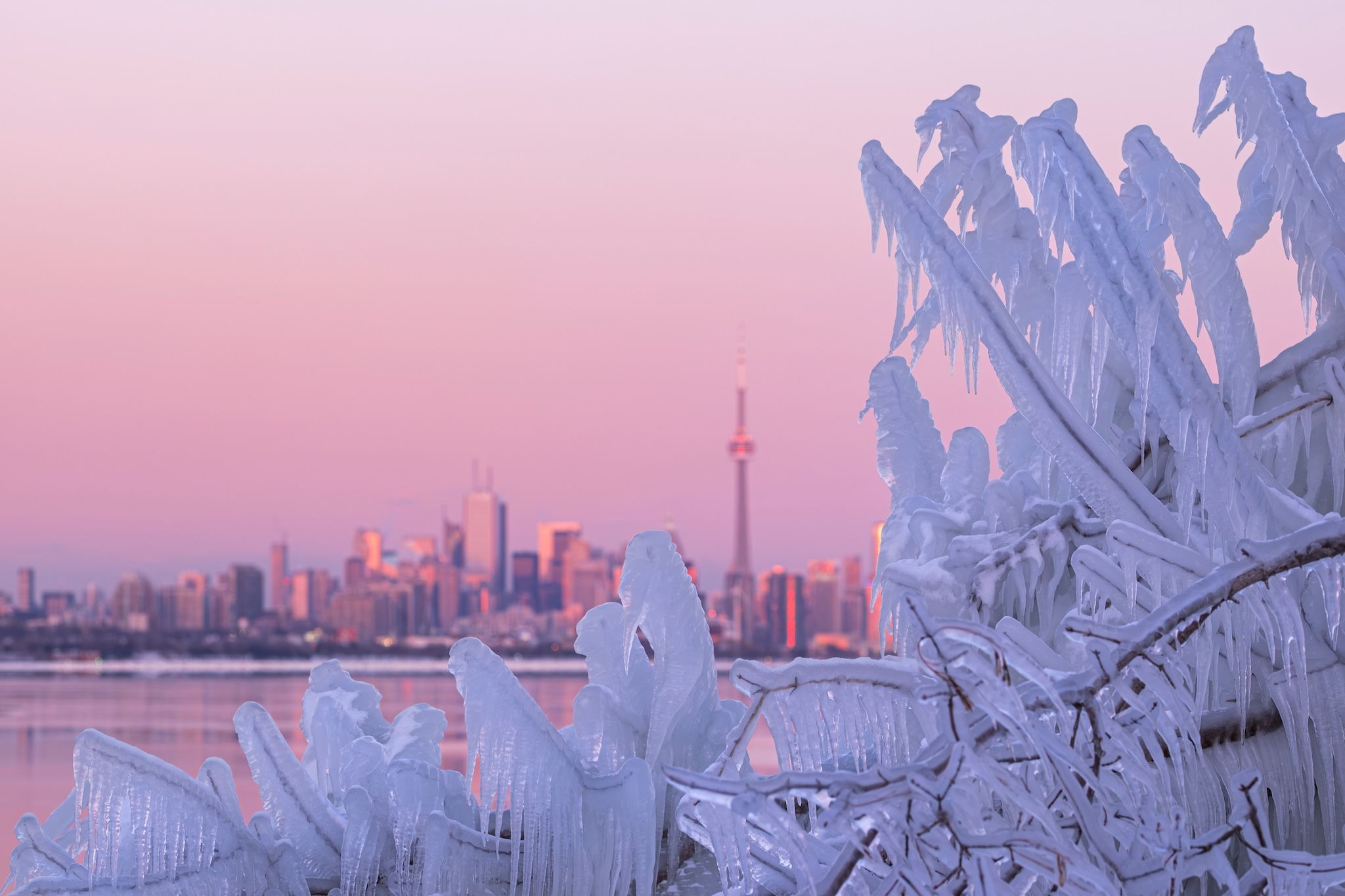 Here’s what’s open and closed on New Year’s Day in Toronto Here’s what’s open and closed on New Year’s Day in Toronto