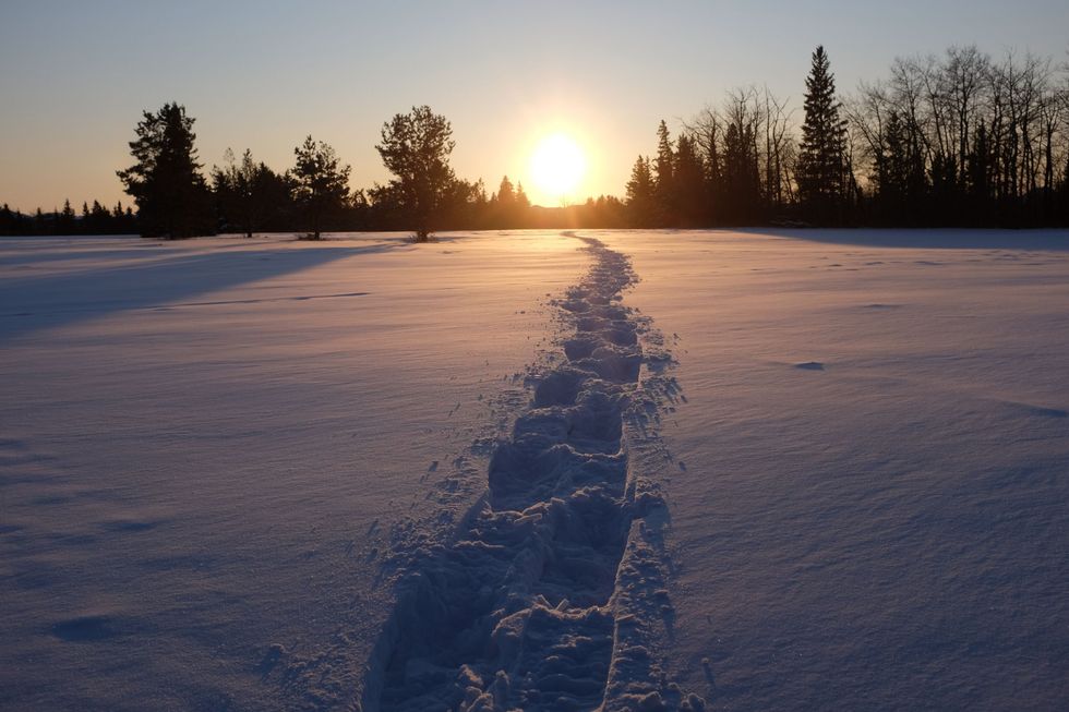 snowshoeing edmonton