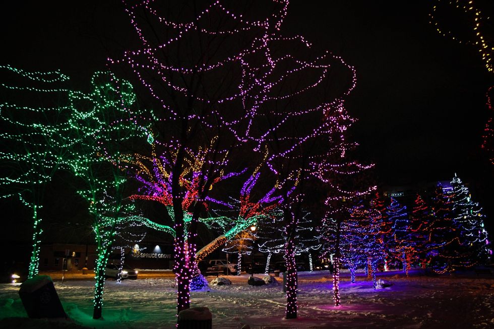 spruce grove