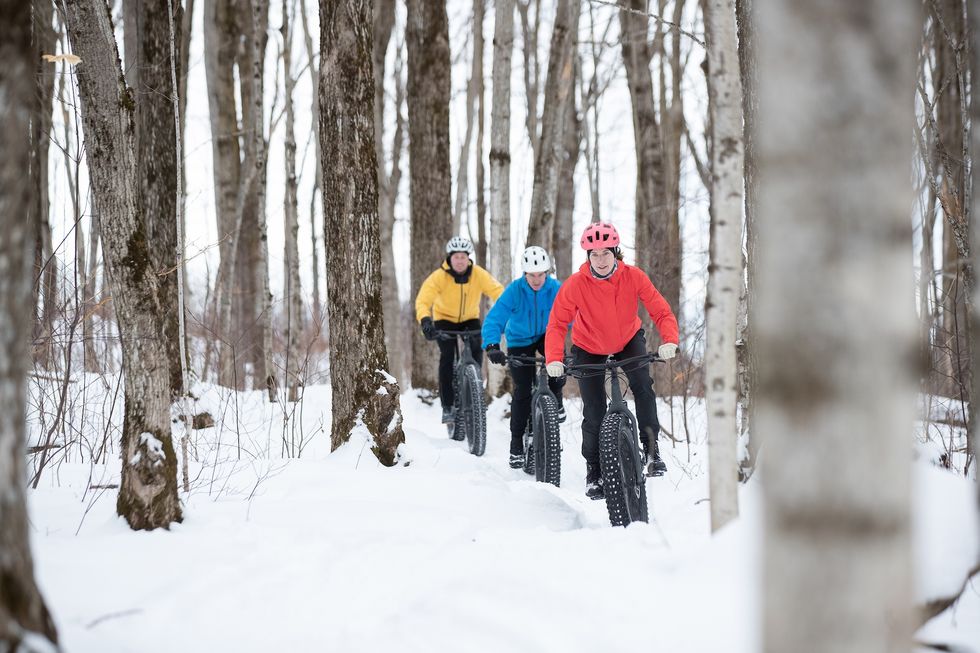 winter activities