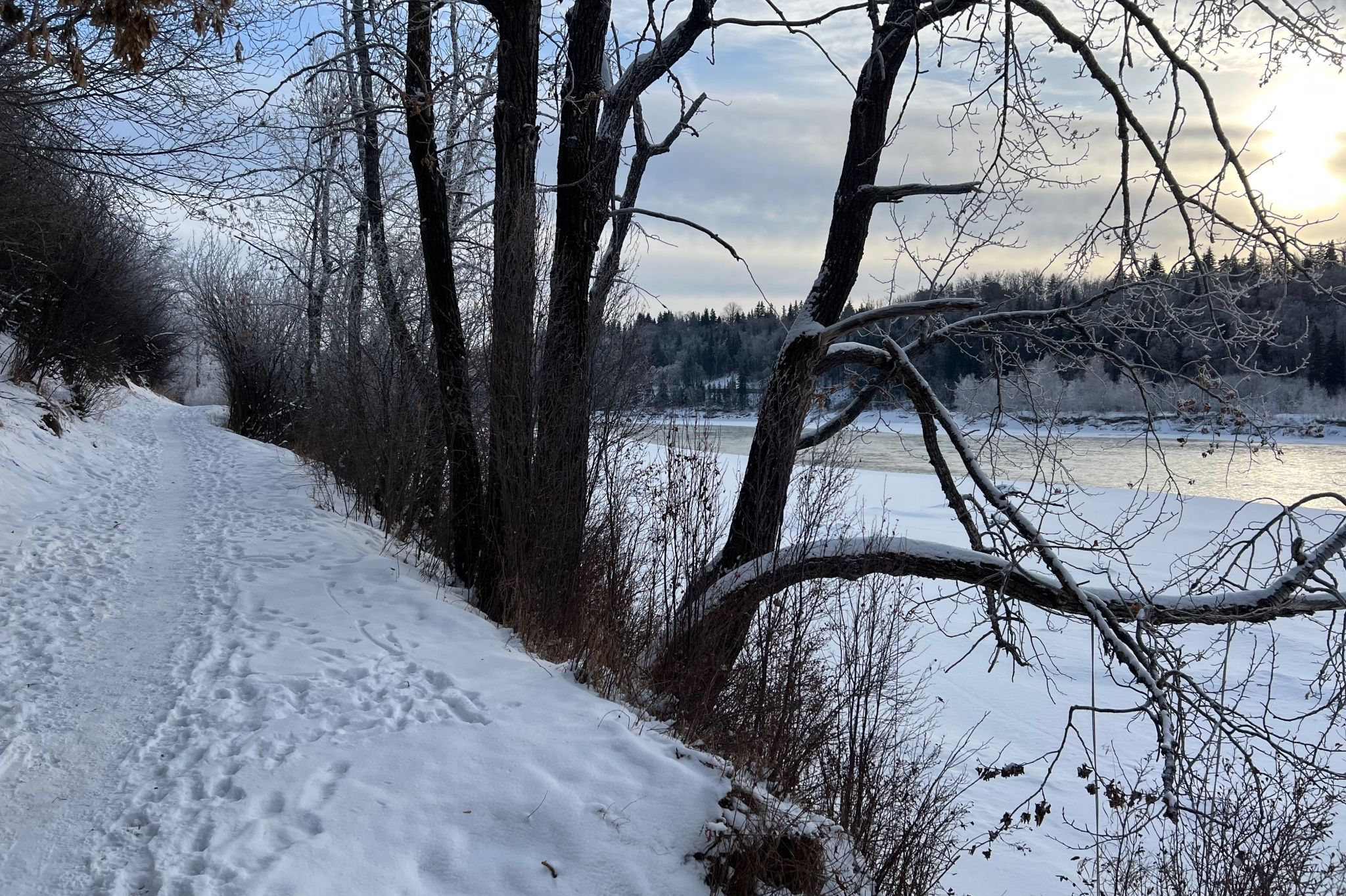 Bundle up and explore these winter hiking trails in Edmonton