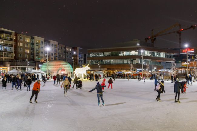 curiocity calgary university district skating