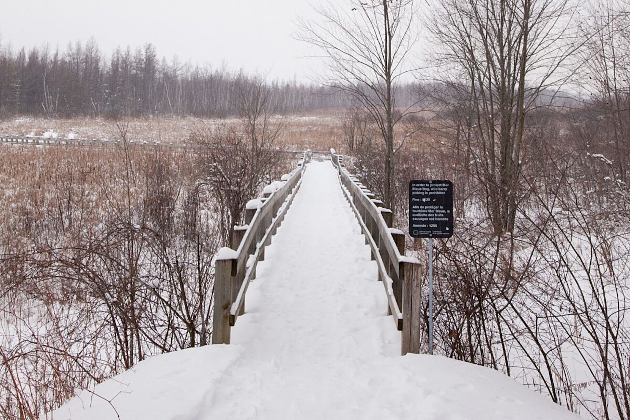 This historic Ontario village proves why winter is the best time to visit