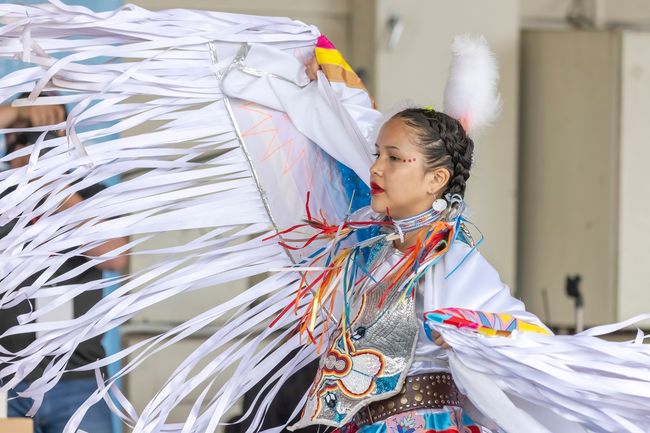 curiocity calgary indigenous woman dancing powow alberta mohkintsis
