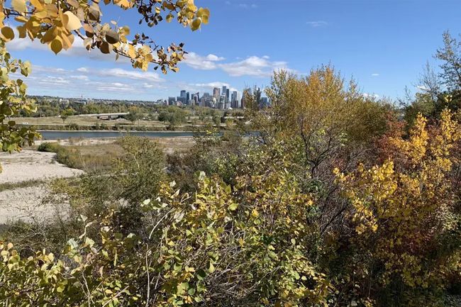 curiocity calgary quarry bow river parkway