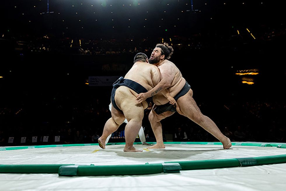 curiocity-calgary-sumo-fest curiocity calgary sumo fest wrestlers