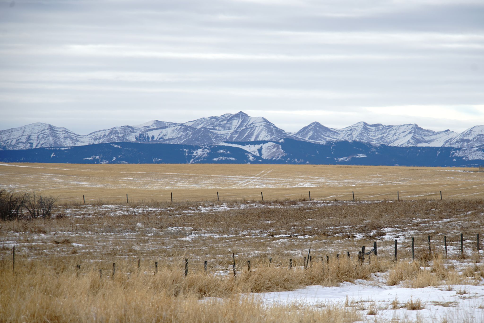 10 things to do in Calgary this week (Jan. 19-23)