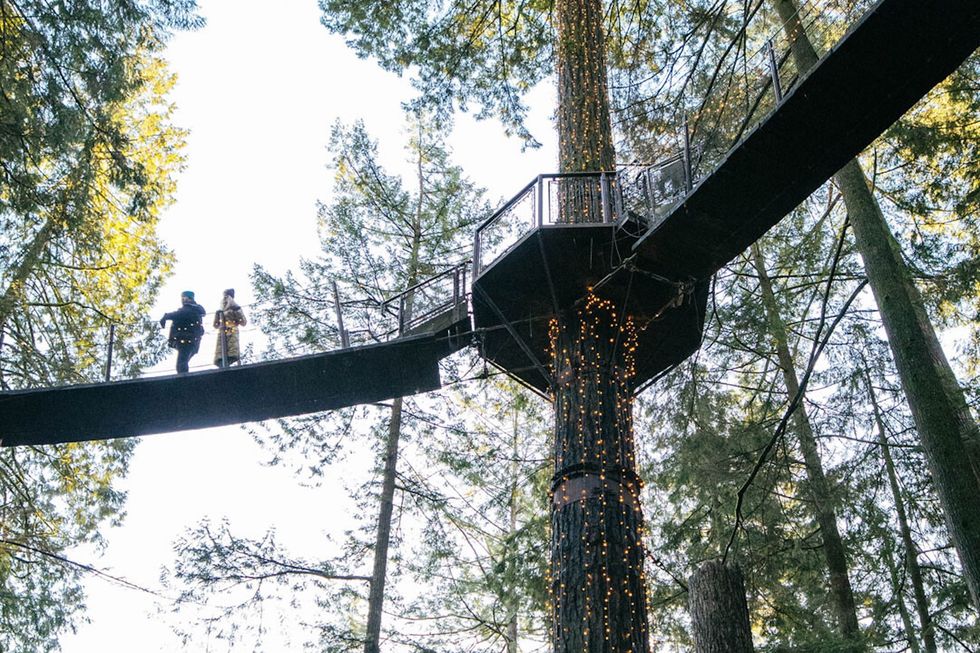 things to do vancouver jan. 12-16