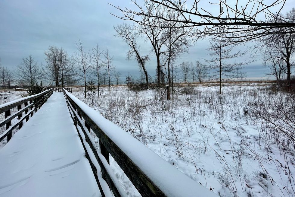 rondeau provincial park