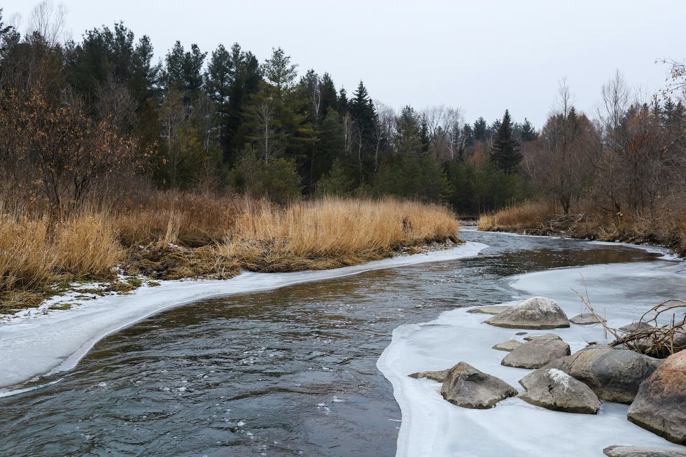 rouge national urban park