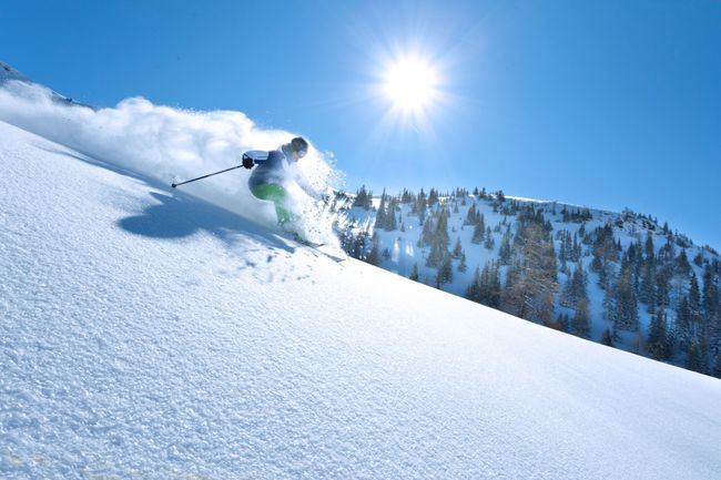 skiing ttd