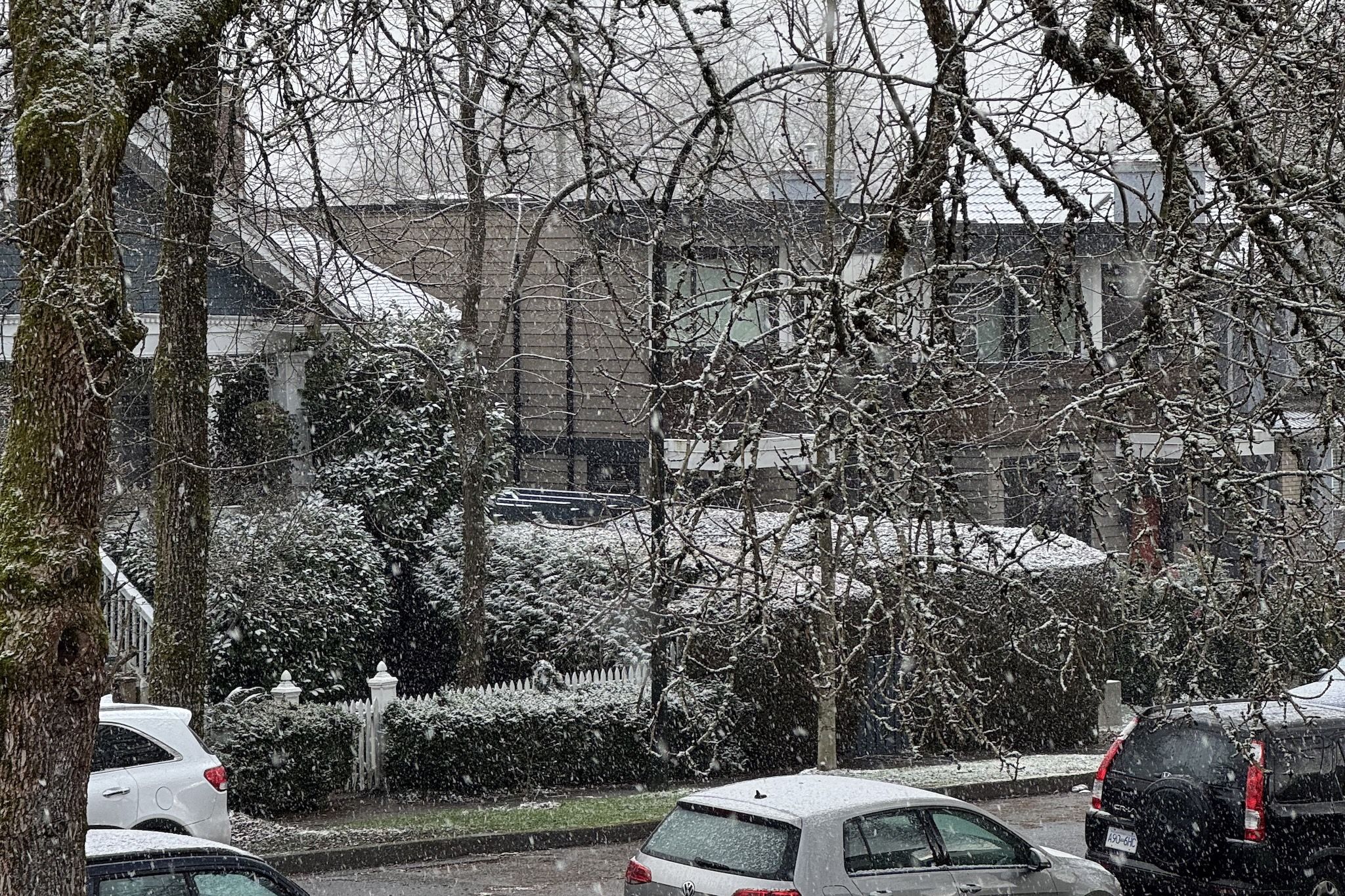 Vancouver just had the shortest snowfall and it was magical
