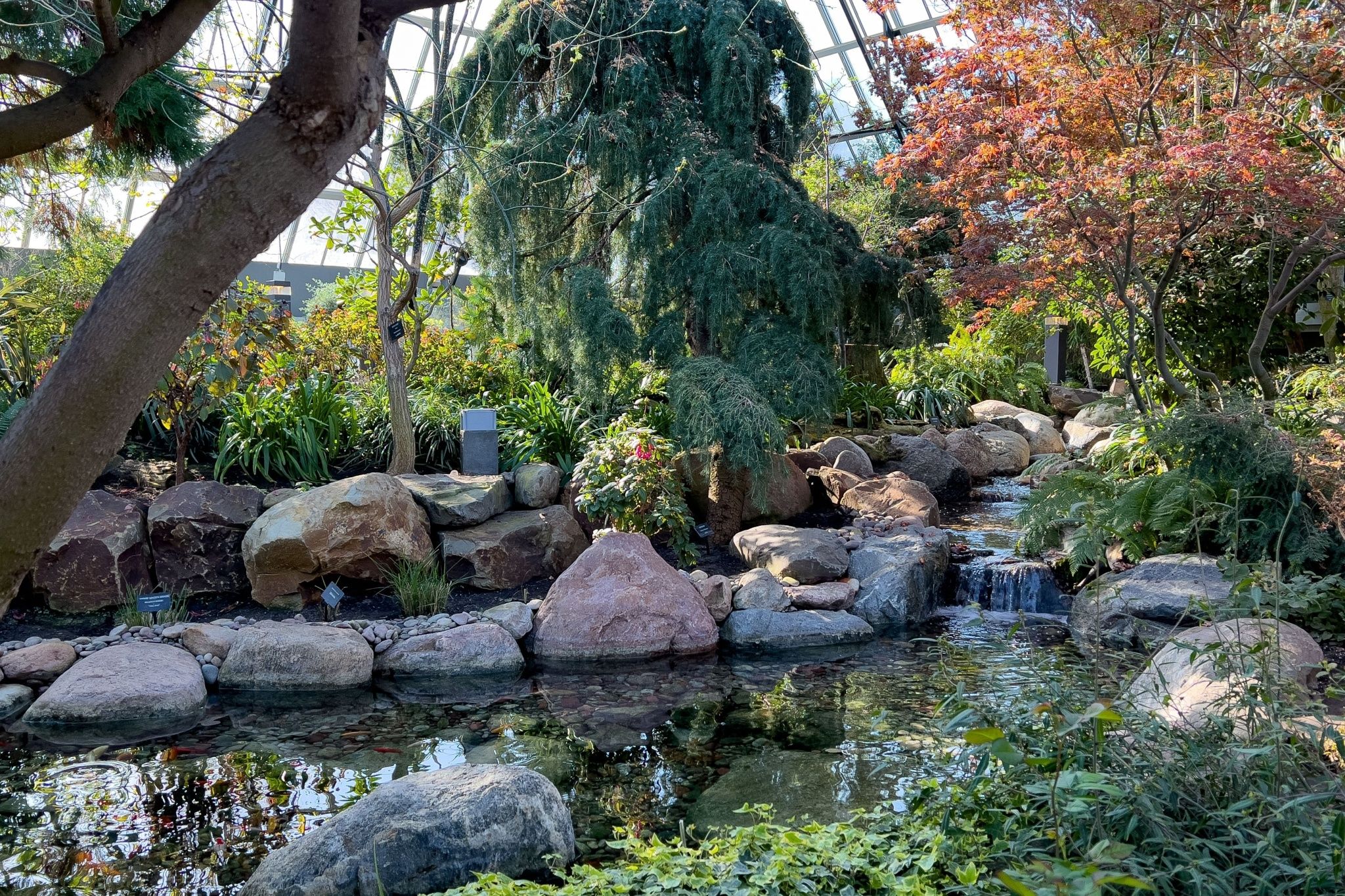 10 things to do this week in Edmonton (Feb. 23-27) 10 things to do this week in Edmonton (Feb. 23-27)