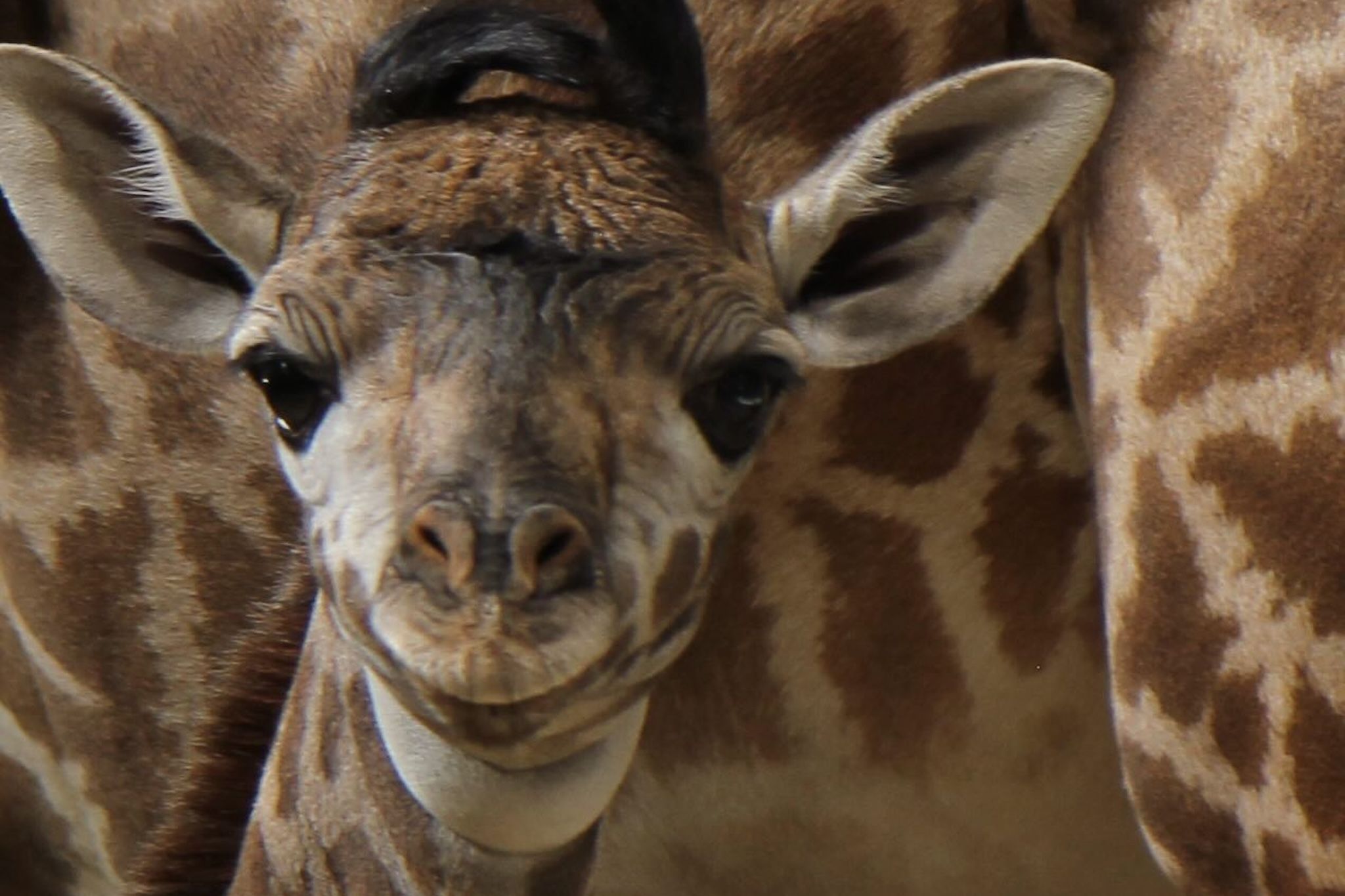 The Toronto Group Chat: What your friends are talking about this week (Feb. 24) The Toronto Group Chat: What your friends are talking about this week (Feb. 24)