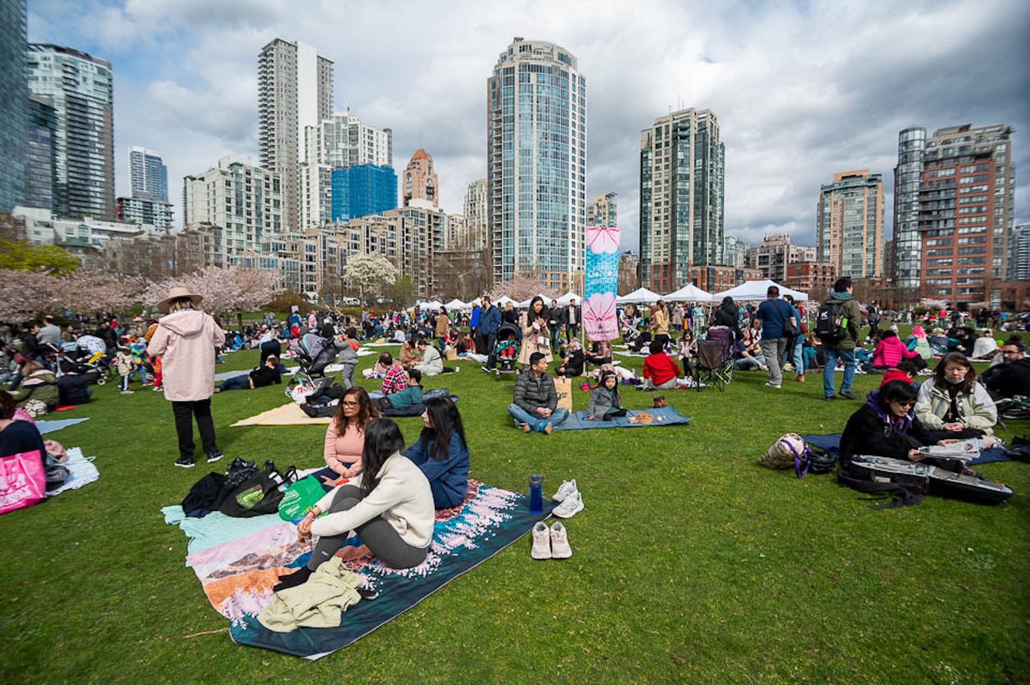 Vancouver is getting a two-day picnic under cherry blossoms with live music Vancouver is getting a two-day picnic under cherry blossoms with live music