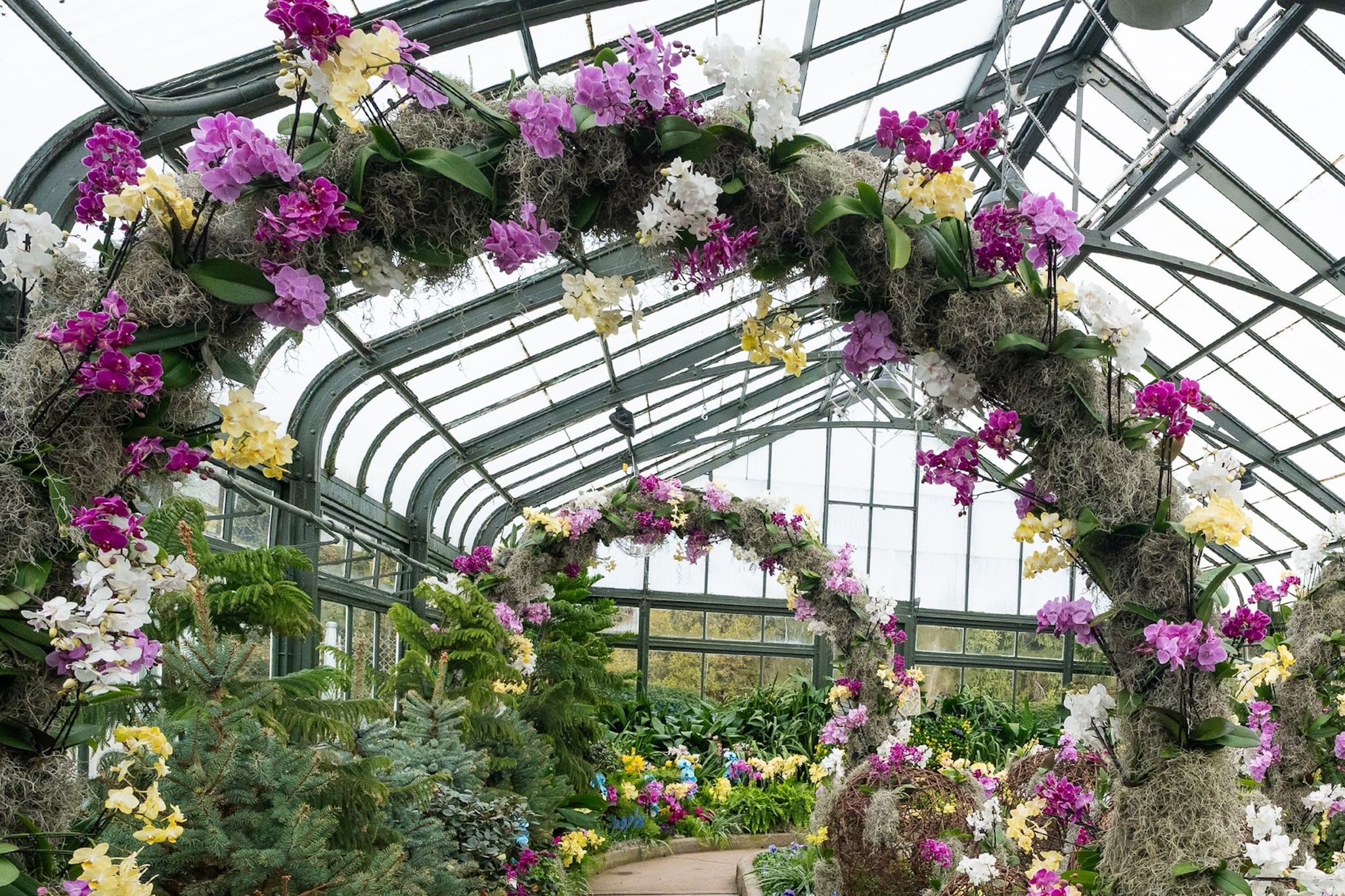 Over 17,000 orchids are on full display at this indoor spring-like paradise in Niagara Over 17,000 orchids are on full display at this indoor spring-like paradise in Niagara