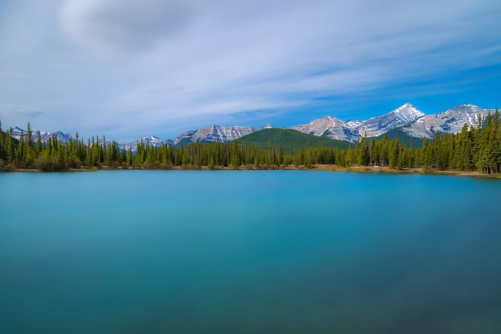 Forgetmenotpond Alberta