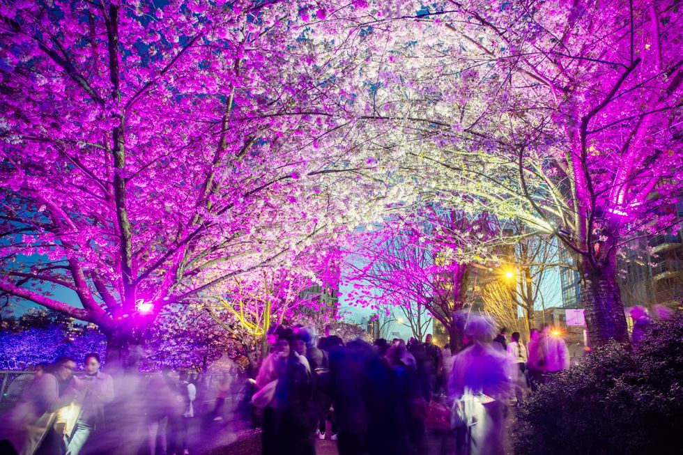 things to do vancouver march 27-29