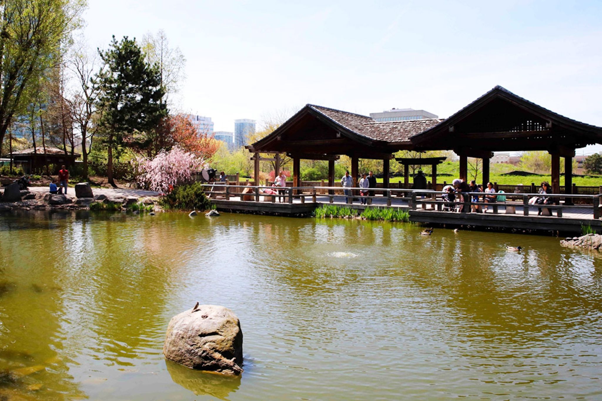 This Ontario city is twinned with Japan and they built each other parks This Ontario city is twinned with Japan and they built each other parks