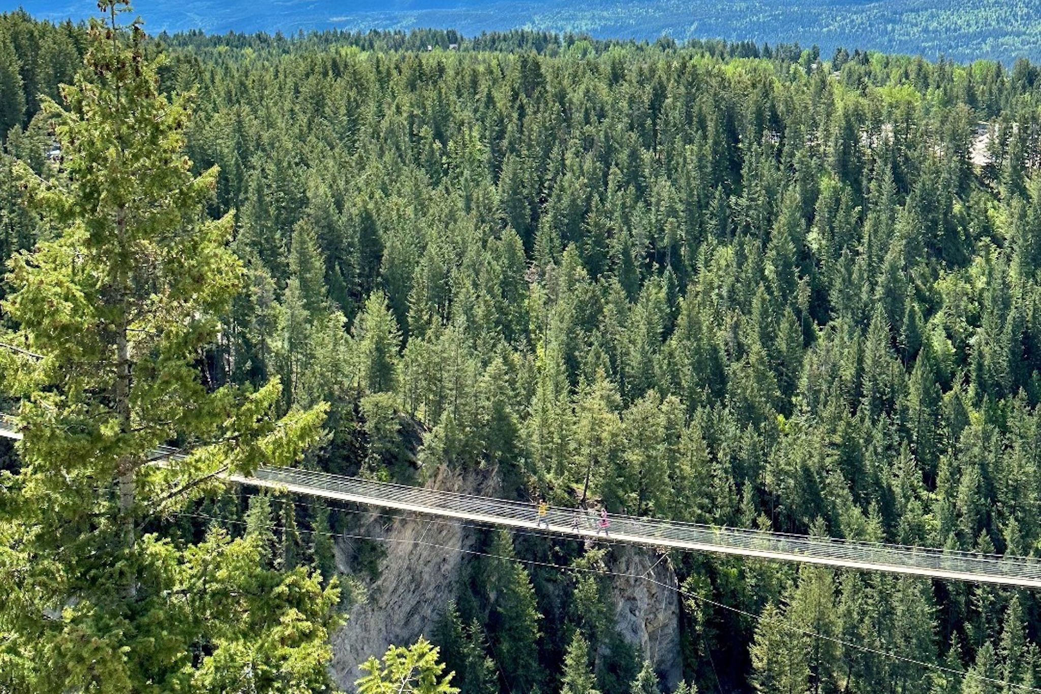 Go for the thrill, stay for the views: Canada’s highest suspension bridge is in B.C. Go for the thrill, stay for the views: Canada’s highest suspension bridge is in B.C.