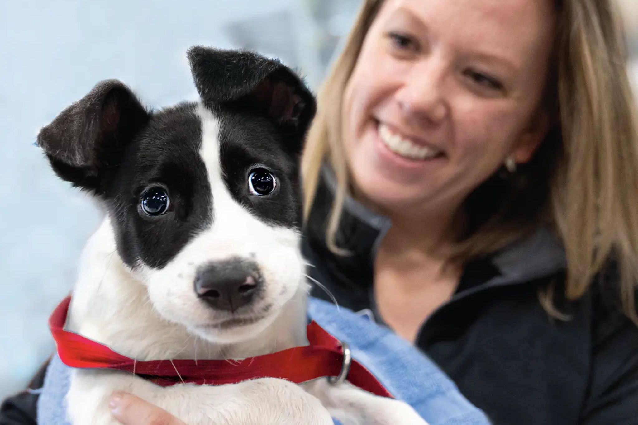 PetSmart is having a massive pet adoption week across Canada next week