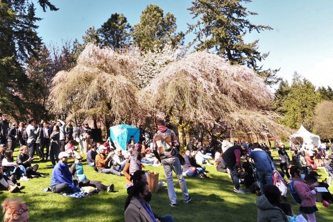 things to do vancouver april 10-12
