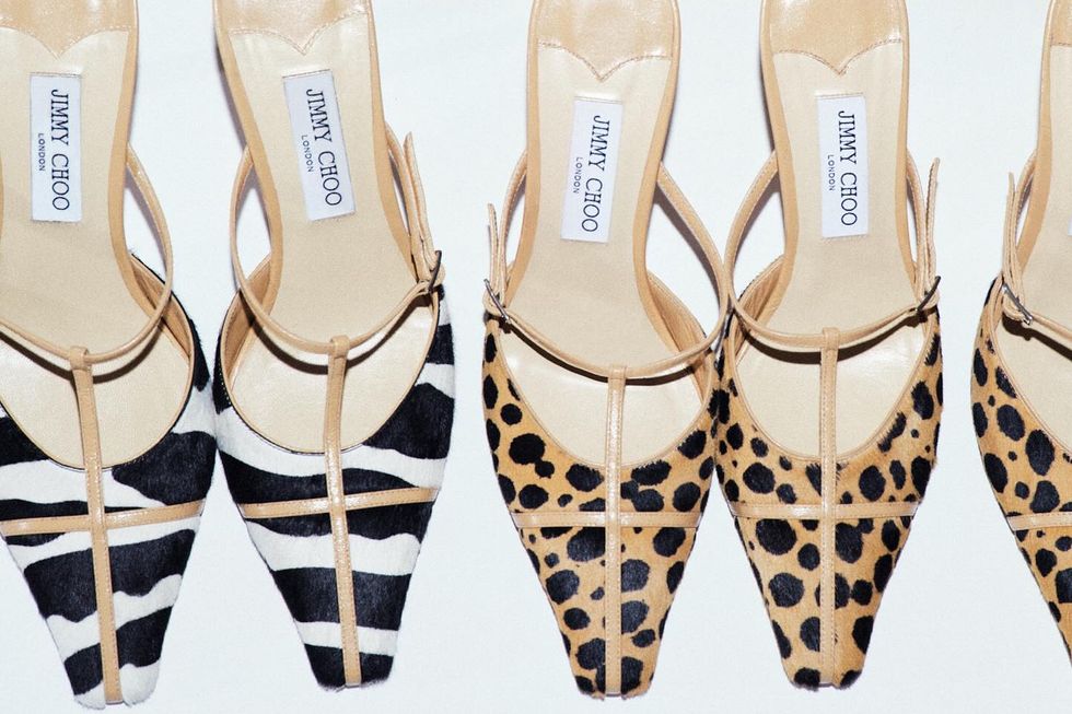 jimmy choo