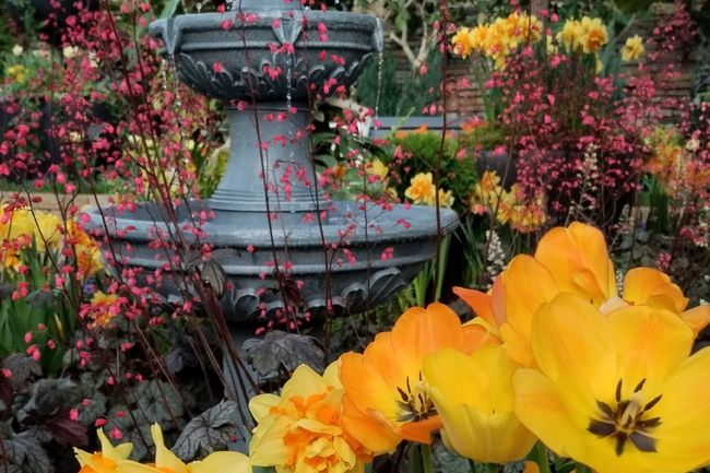 muttart conservatory listicle