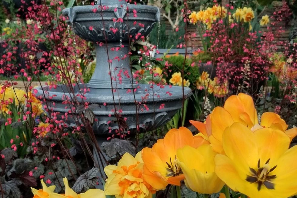 muttart conservatory listicle
