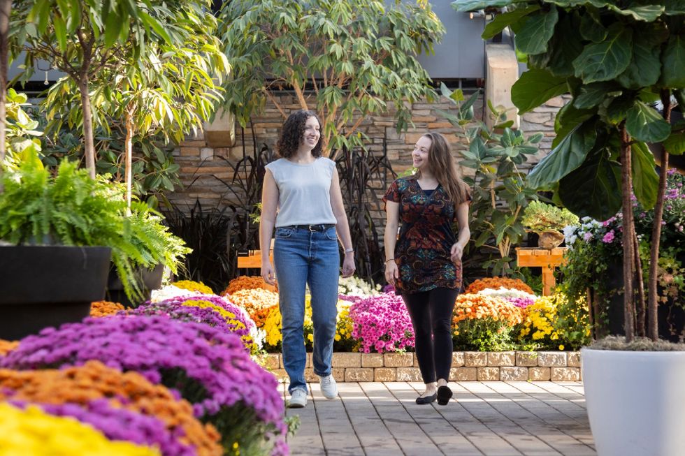 muttart conservatory ttd