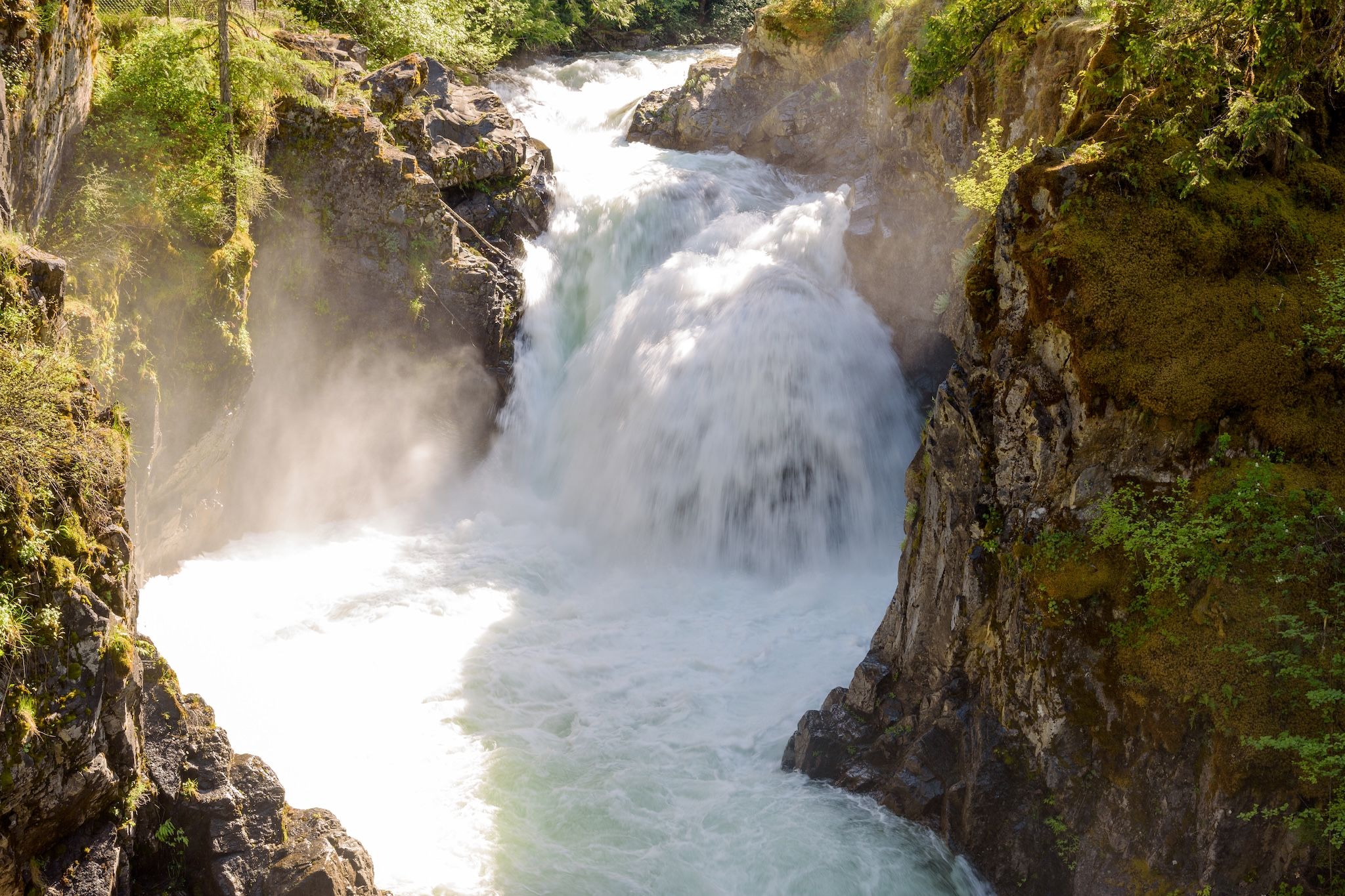 This famous B.C. park with cascading waterfalls is a must-visit this spring This famous B.C. park with cascading waterfalls is a must-visit this spring