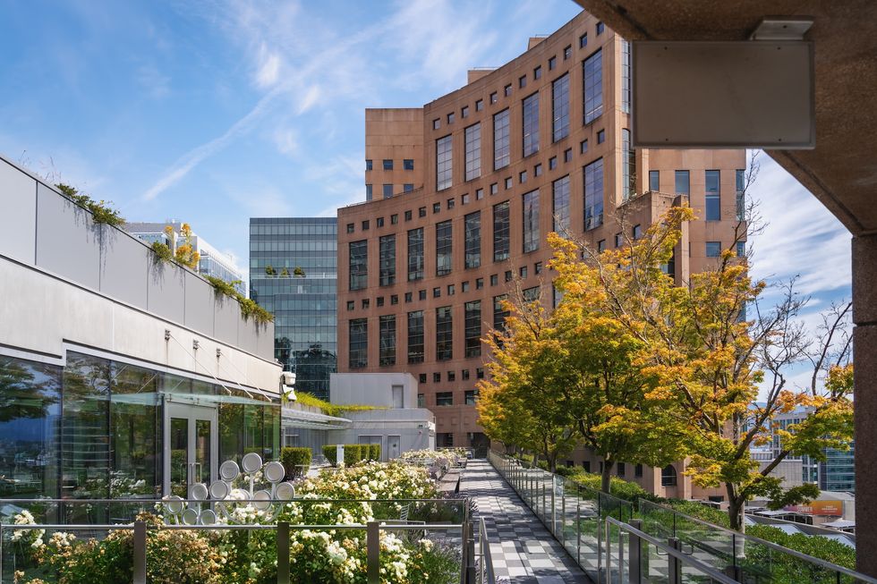 Vancouver public library rooftop patio
