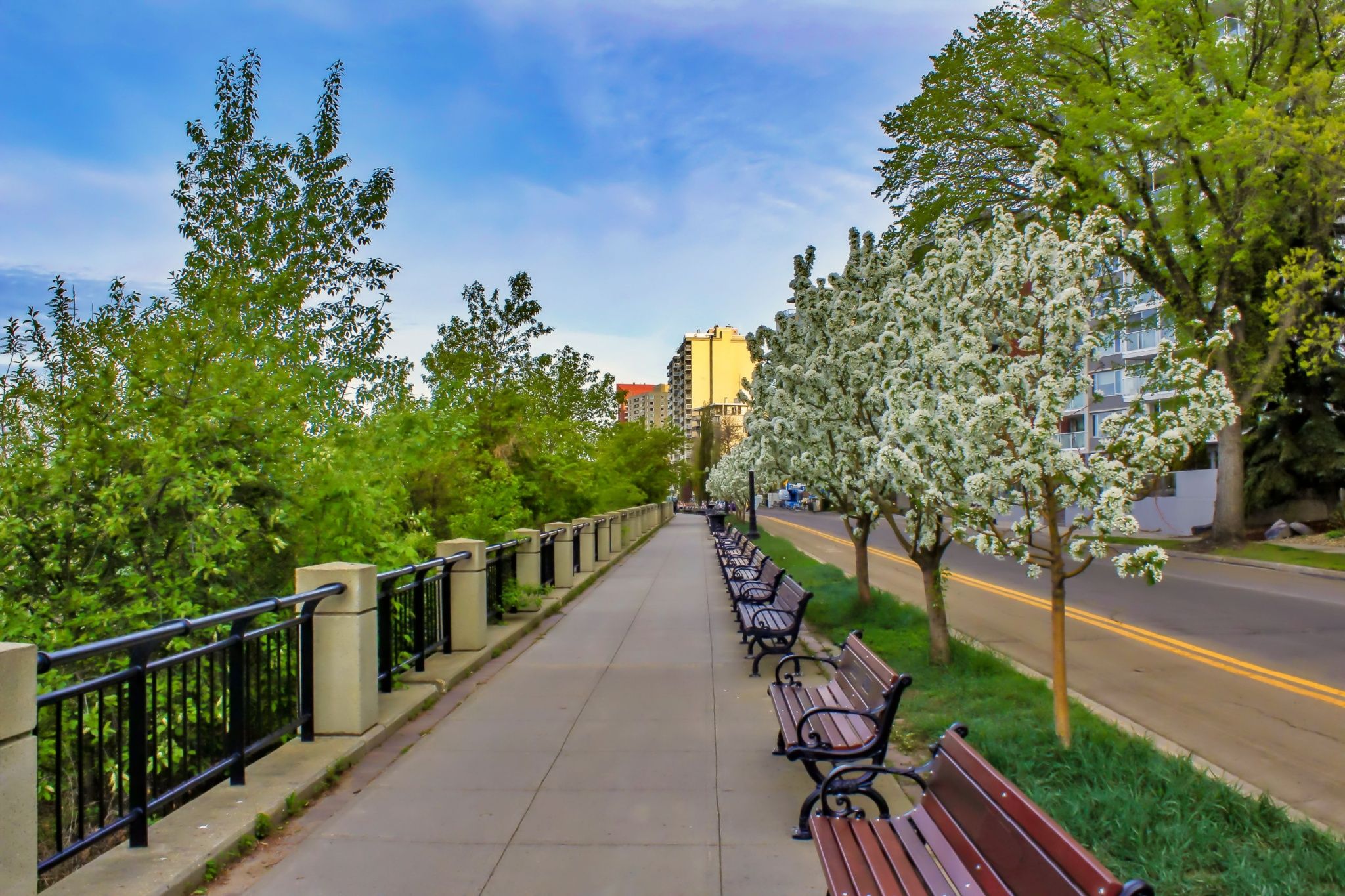 The best spots in Edmonton to see the blooming flowers this season The best spots in Edmonton to see the blooming flowers this season