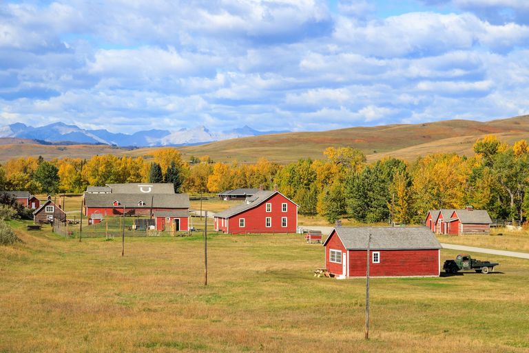 This historic ranch near Calgary brings Alberta’s past to life