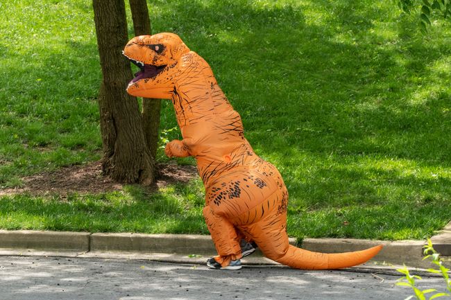 Dinosaur out for a stroll in the neighborhood.