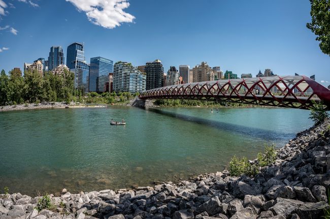 Calgary, Alberta Canada - June 23 2024: Bow river and peace bridge with view of downtown in summer