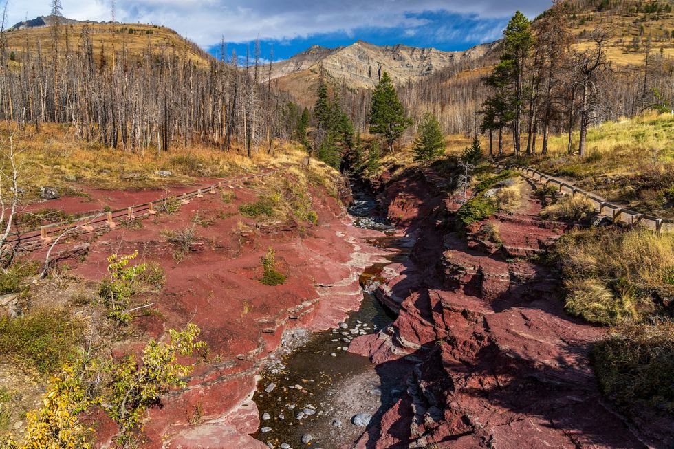 Red Rock Canyon with autumn foliage on a morning with blue sky, clouds, and mountains. Waterton Lakes National Park, Alberta, Canada.