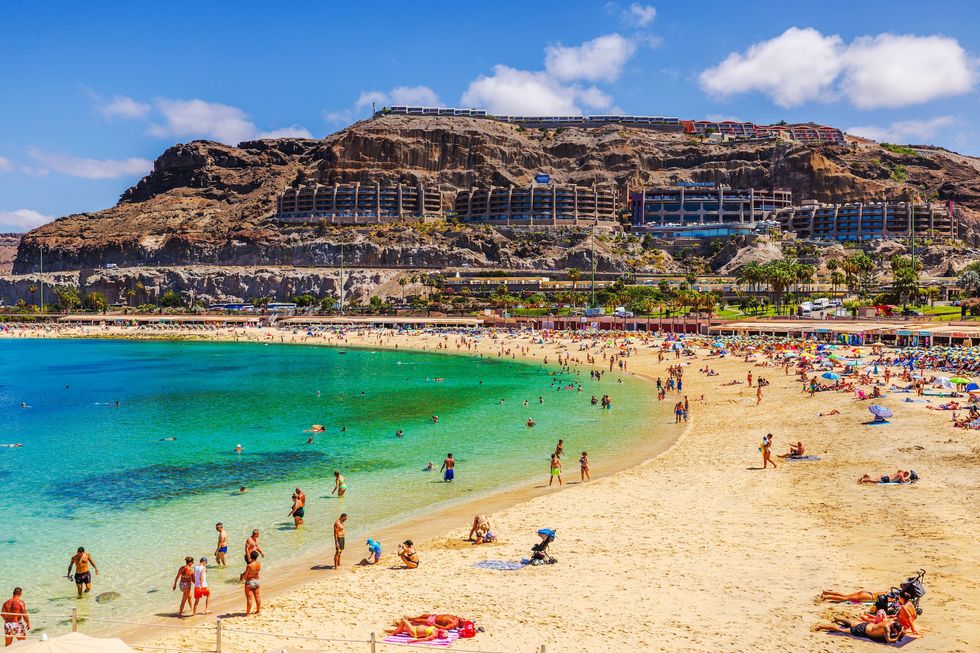air transat flights to las palmas