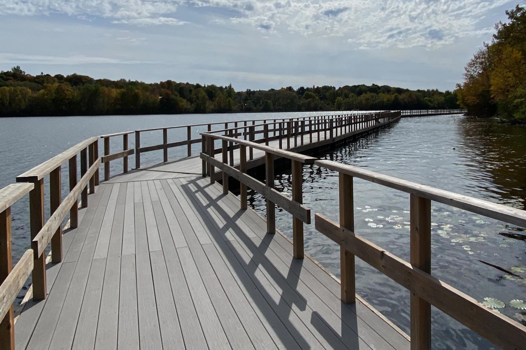 You can walk across a giant floating boardwalk on this beautiful Muskoka trail You can walk across a giant floating boardwalk on this beautiful Muskoka trail