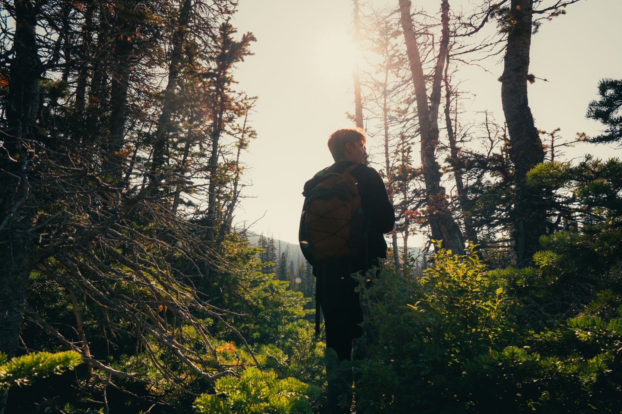 This Alberta lake has over 15 kilometers worth of trails for you to explore this summer This Alberta lake has over 15 kilometers worth of trails for you to explore this summer