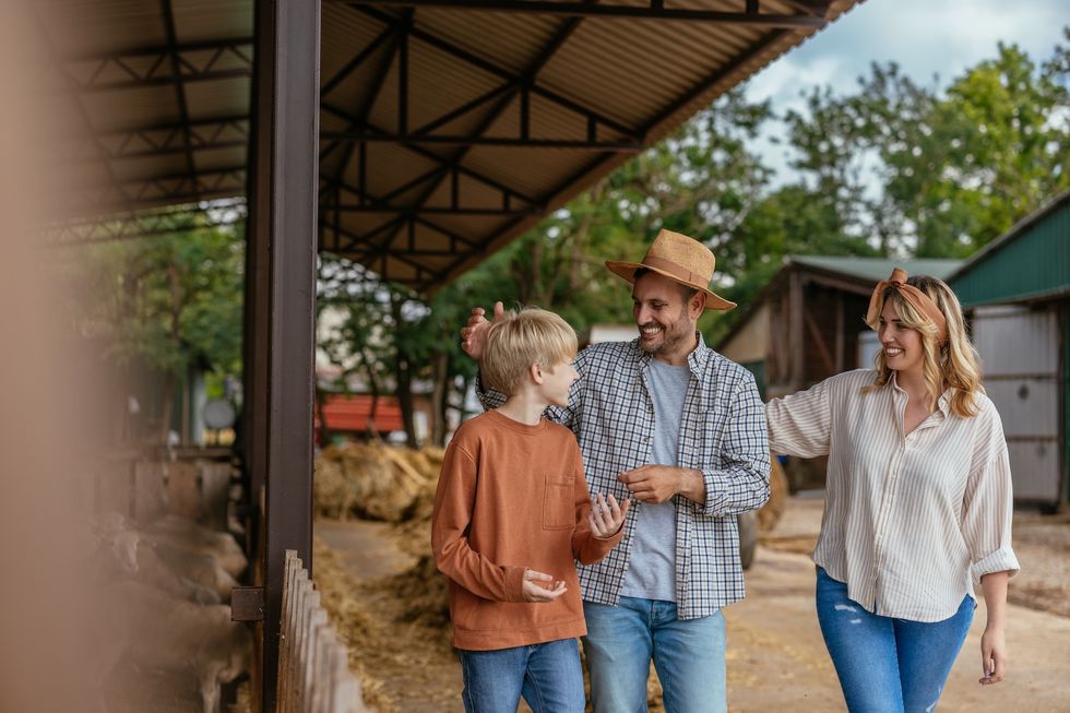 Parents having fun with their son on a farm on a lovely summer day, smiling and talking as they walk past a sheep pen.