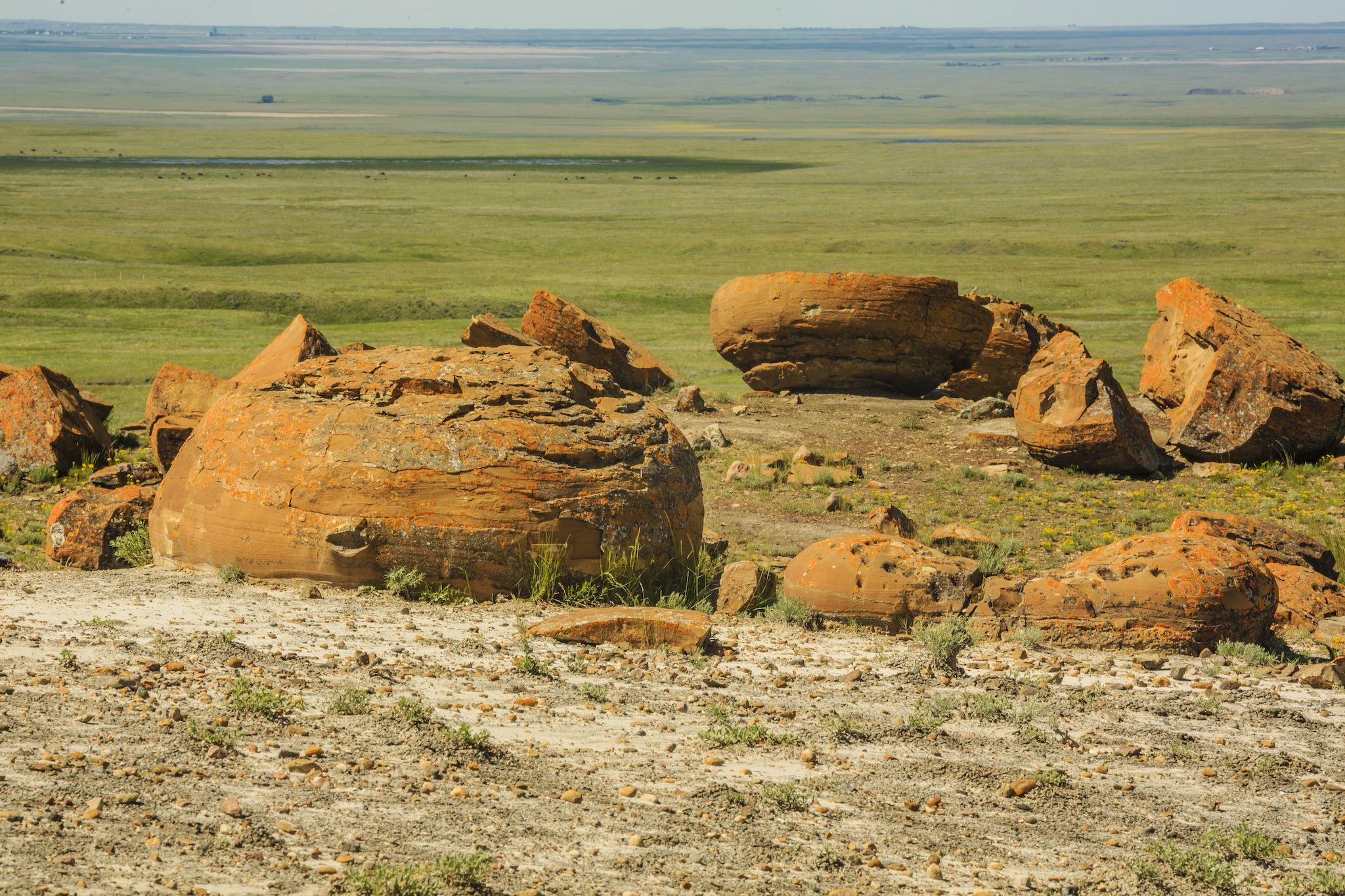 This Alberta canyon is home to rare red spherical rocks found nowhere else in Canada This Alberta canyon is home to rare red spherical rocks found nowhere else in Canada