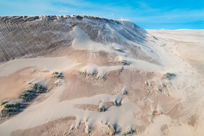Aerial of Athabasca Sand Dunes Provincial Park,