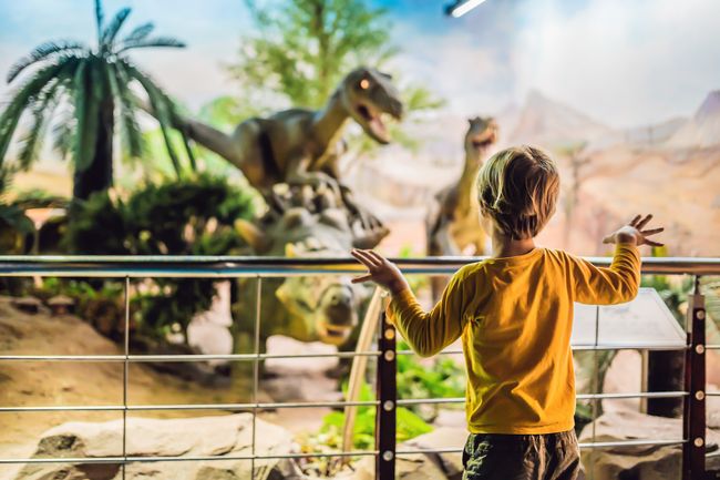 Boy in a yellow jacket watching dinosaur in museum