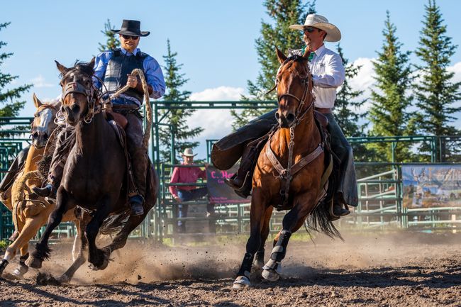 Rodeo and Bronco Riding