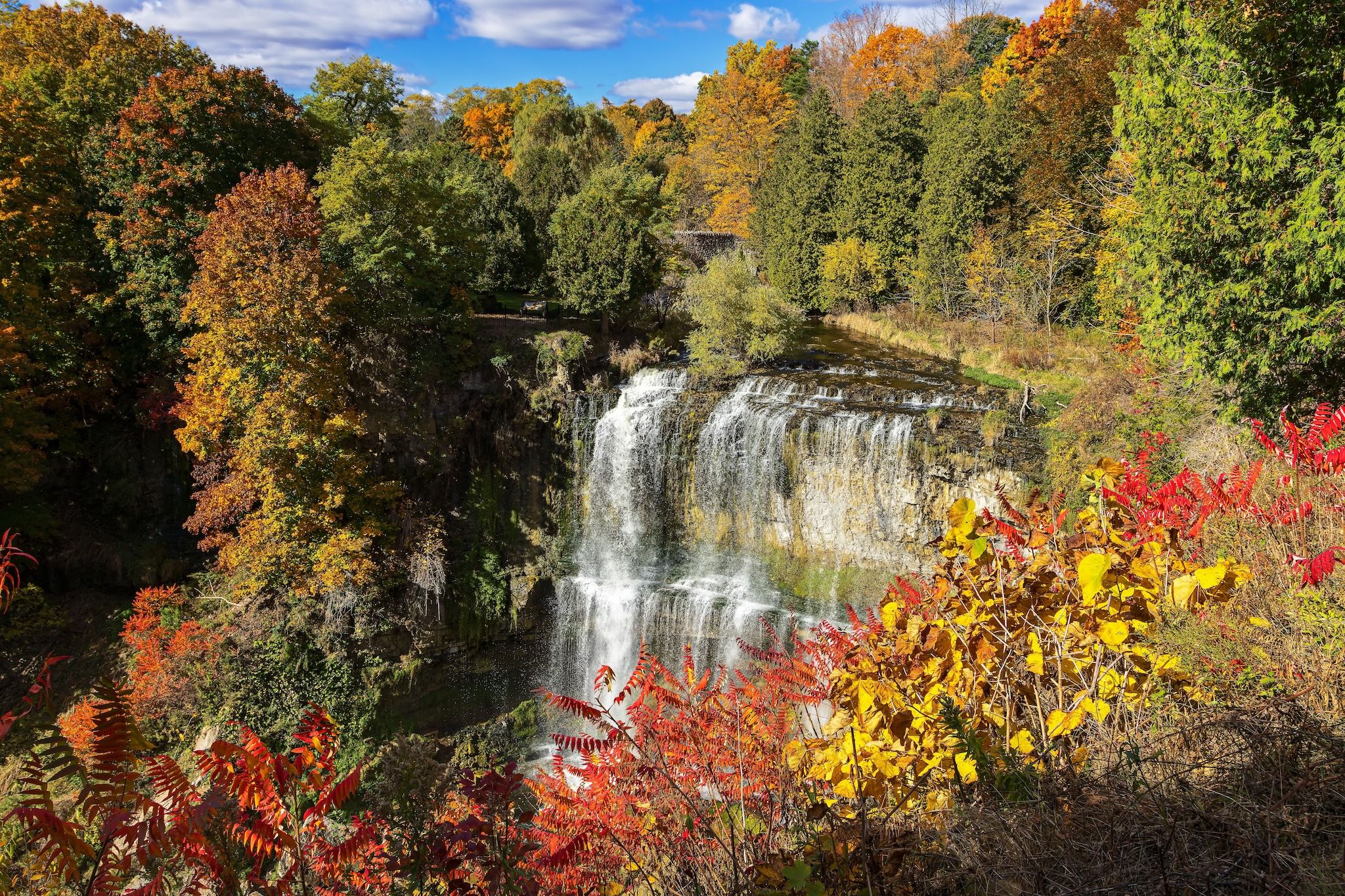 A look into autumn! Here’s Ontario’s fall forecast for 2026 A look into autumn! Here’s Ontario’s fall forecast for 2026